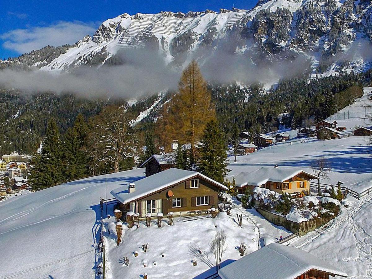 Chalet Zwaergli By Interhome Wengen Eksteriør billede