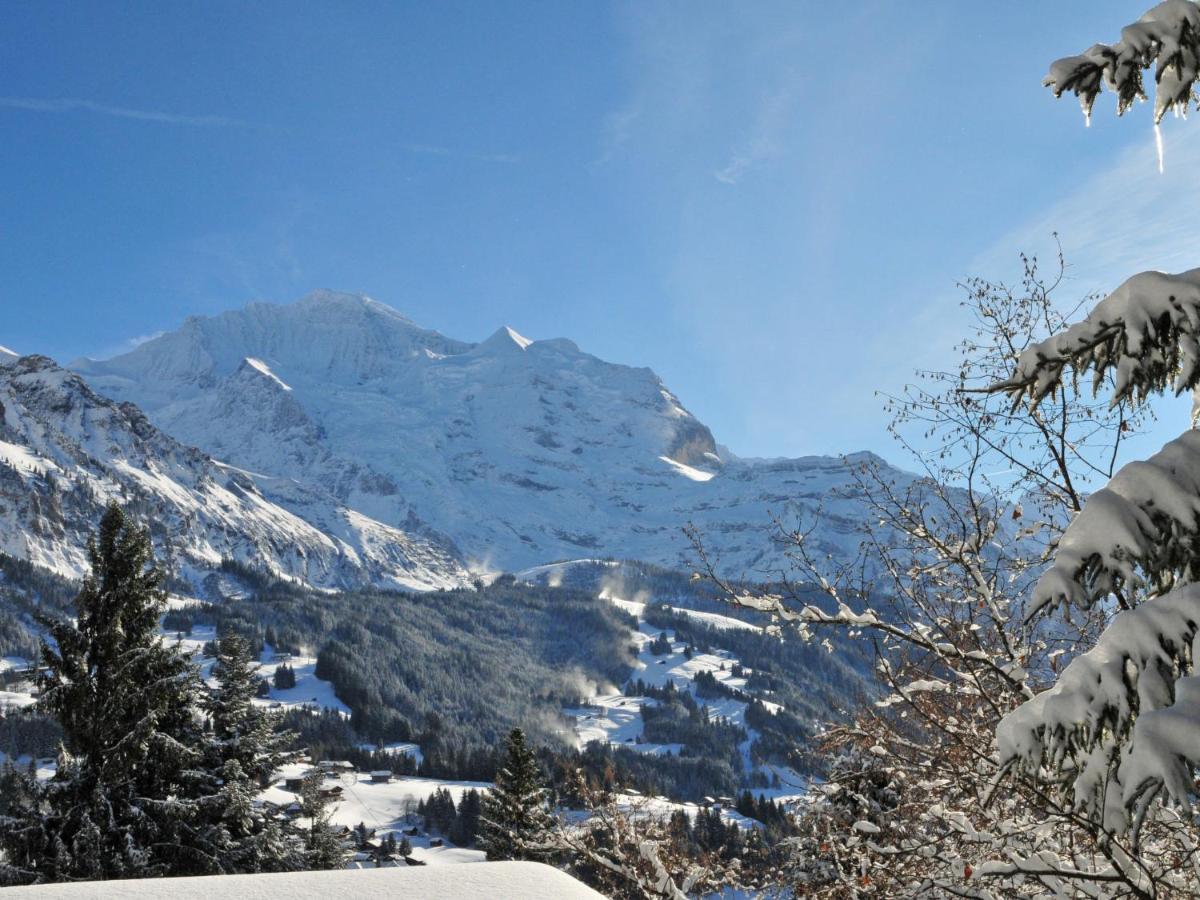 Chalet Zwaergli By Interhome Wengen Eksteriør billede