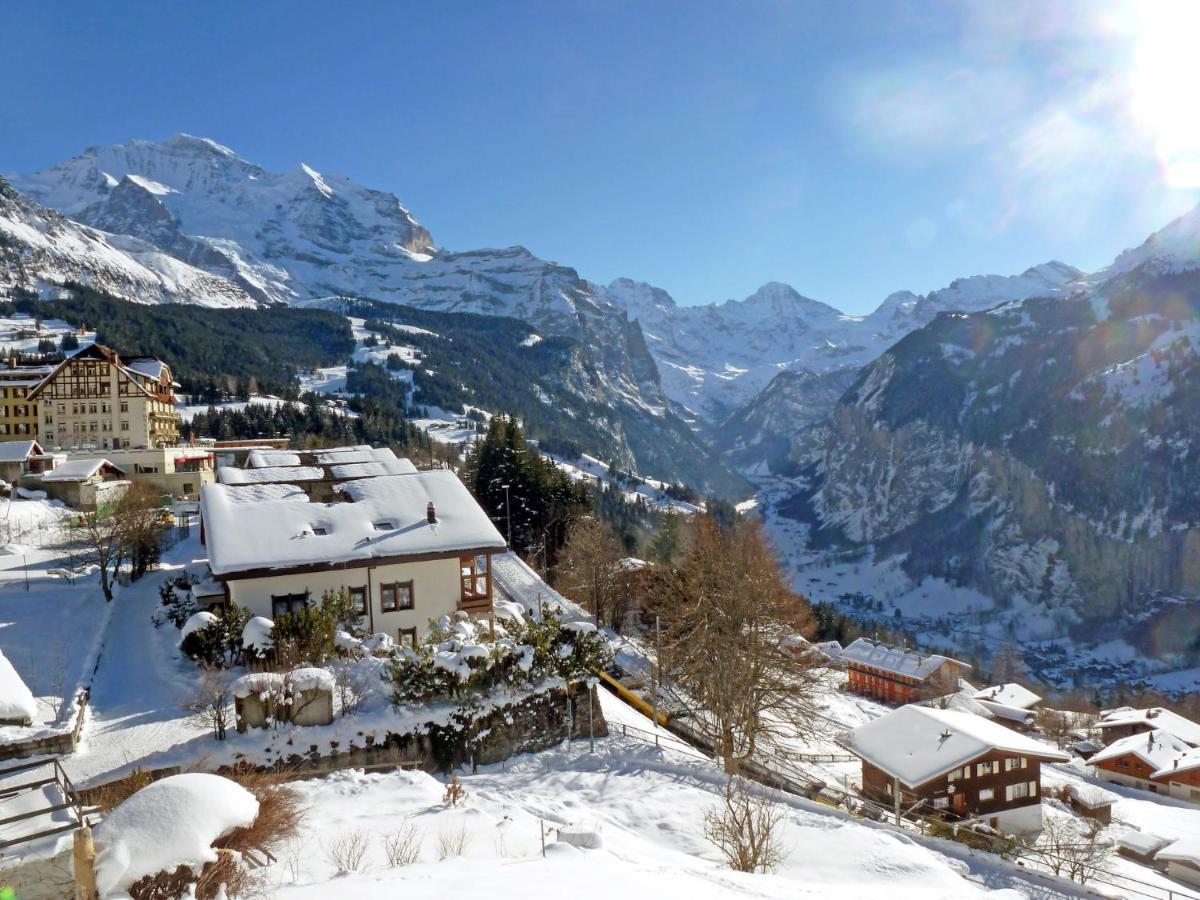 Chalet Zwaergli By Interhome Wengen Eksteriør billede